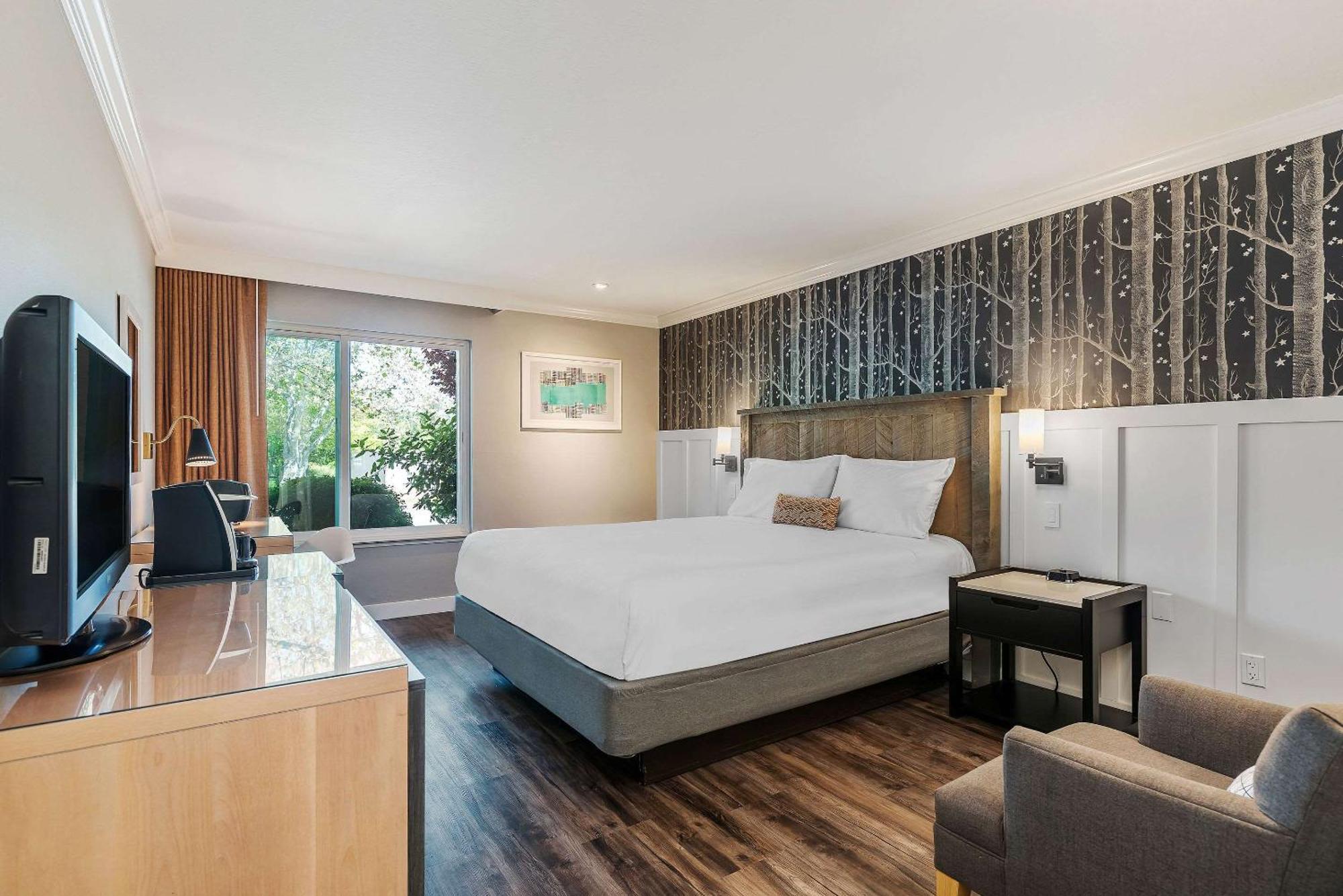 Upvalley Inn & Hot Springs, Ascend Hotel Collection Calistoga Extérieur photo